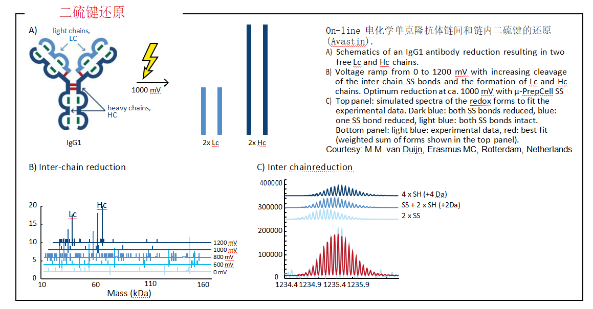 药物代谢电化学模拟系统